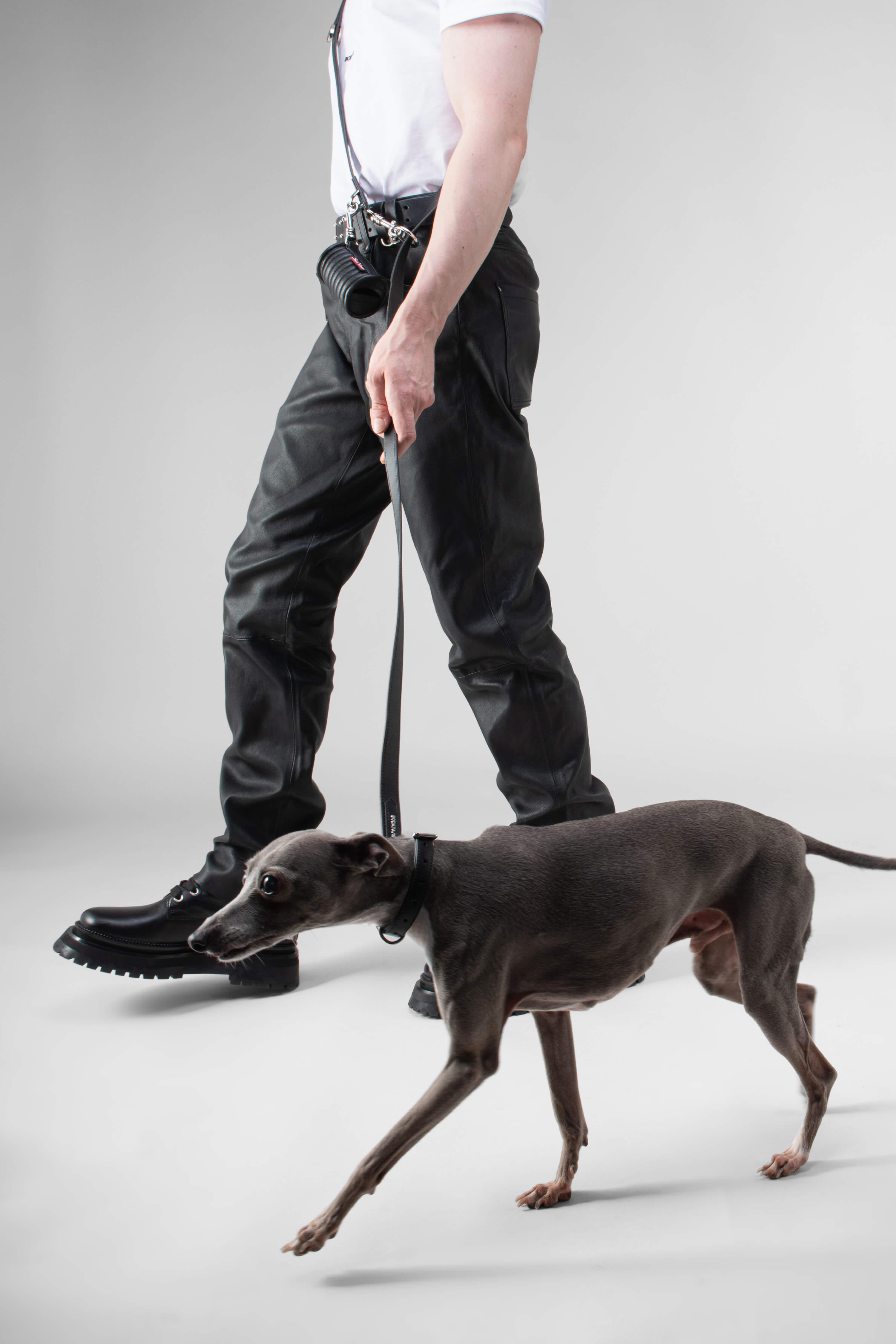 3 in 1 Leather Dog Lead and Collar