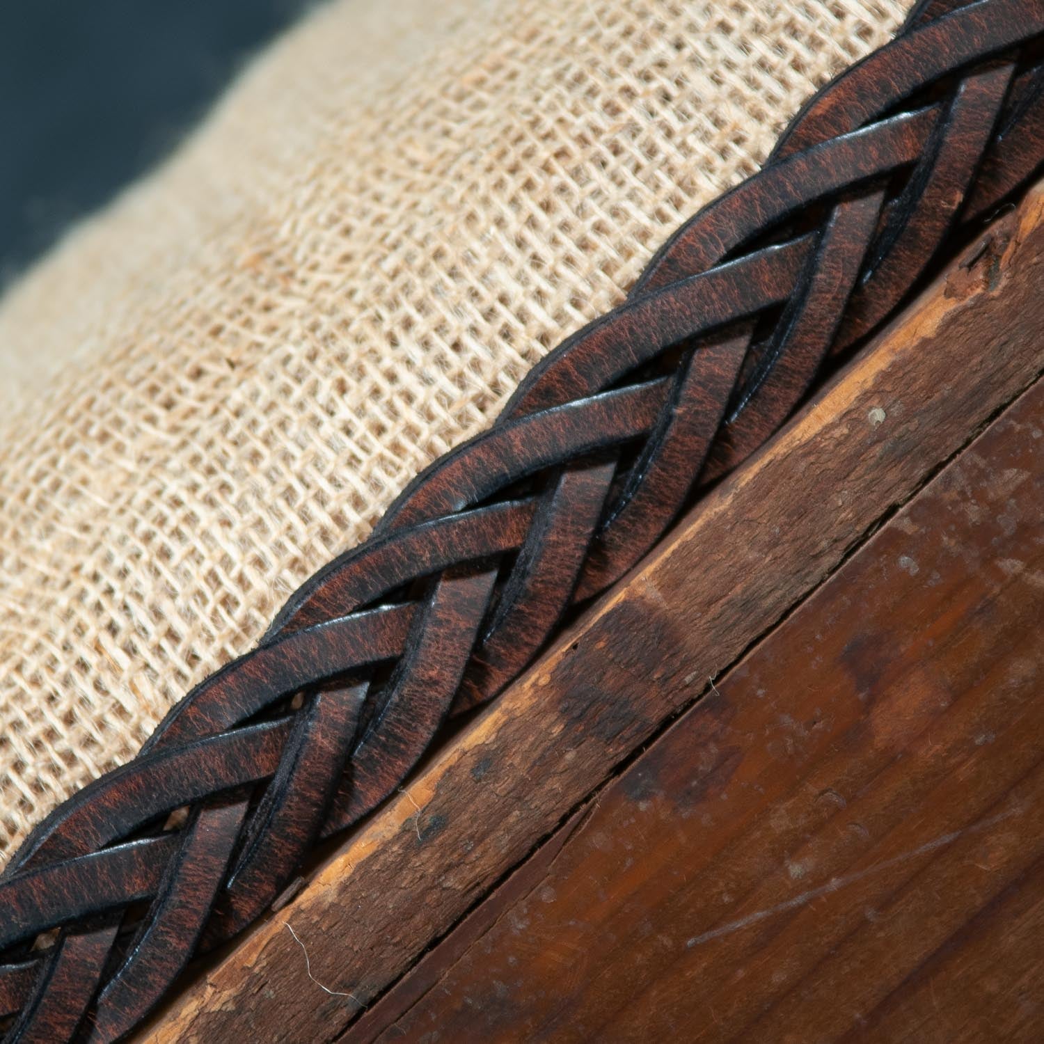 The Rockford Braided Bison