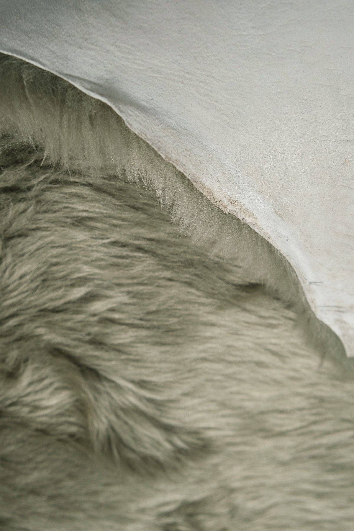 Real Single British Sheepskin Light Green Rug