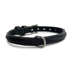 Bentley Raised Collar