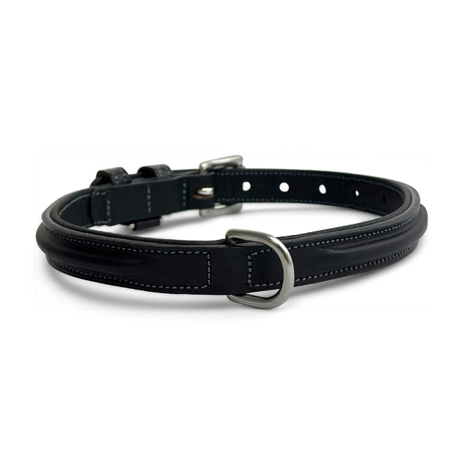 Bentley Raised Collar