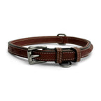 Bentley Raised Collar