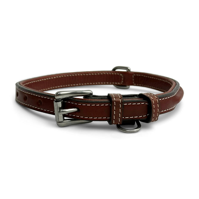 Bentley Raised Collar