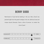 'Almost Perfect' Lovebug Wallet