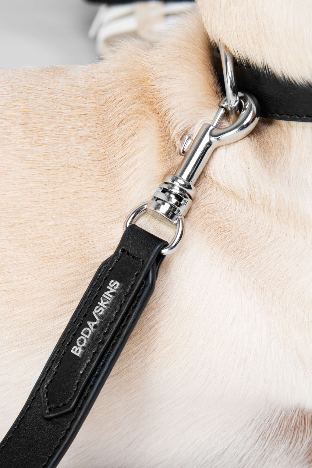 3 in 1 Leather Dog Lead and Collar
