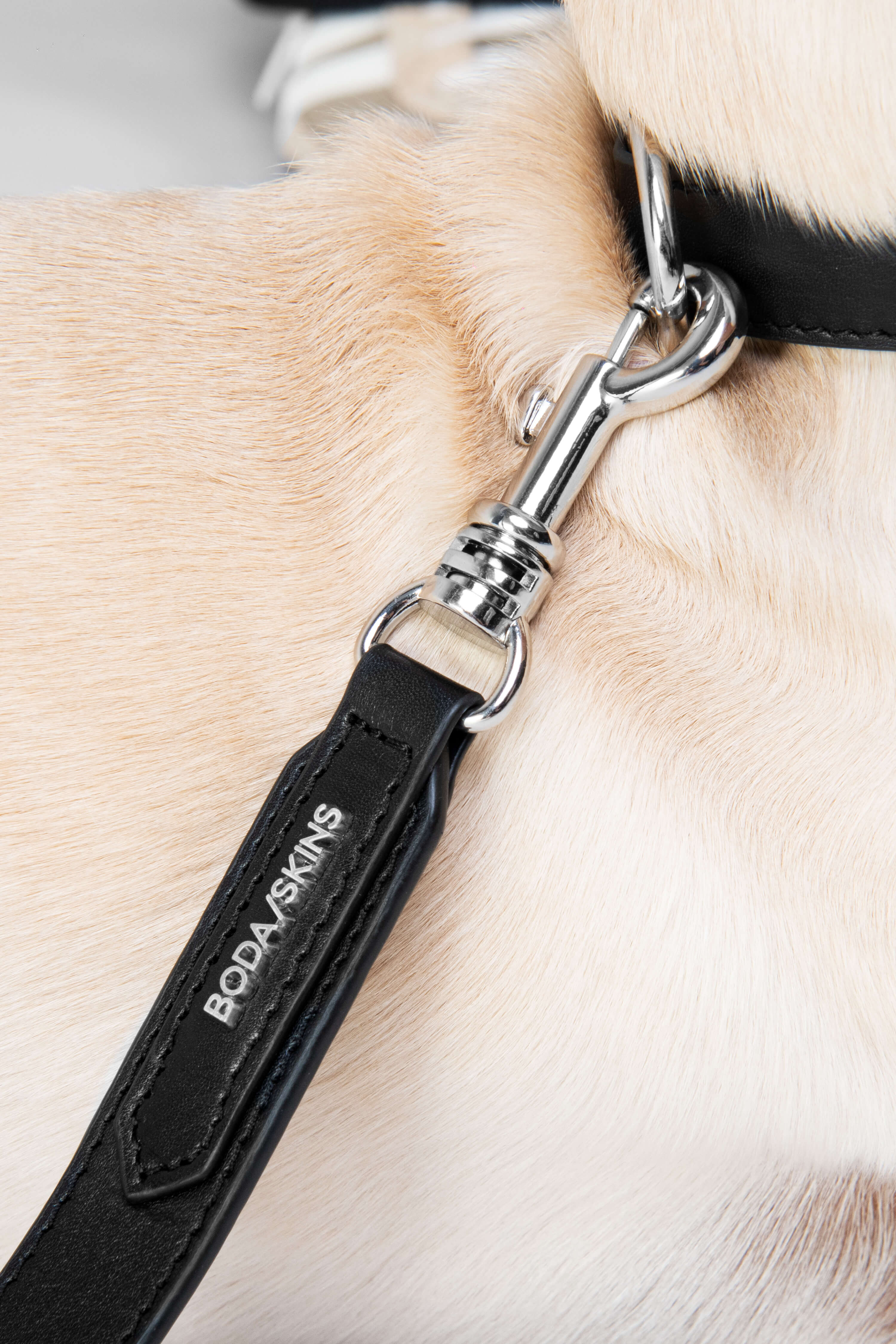 3 in 1 Leather Dog Lead and Collar
