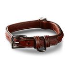 Bentley Raised Collar