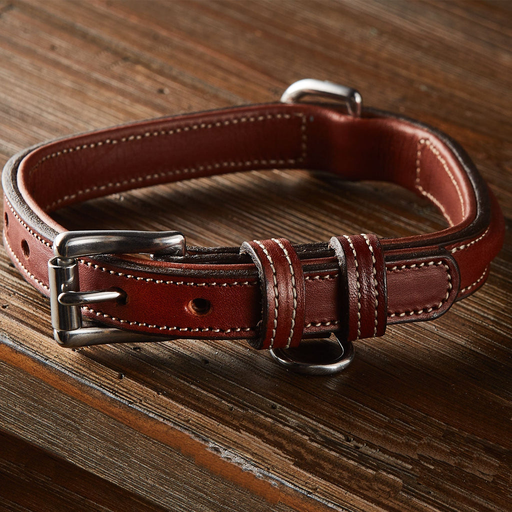 Bentley Raised Collar
