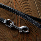 Bentley Leash