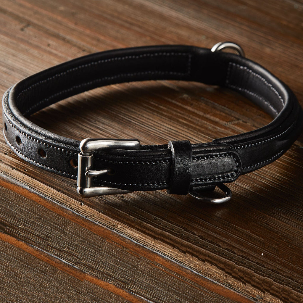 Bentley Raised Collar