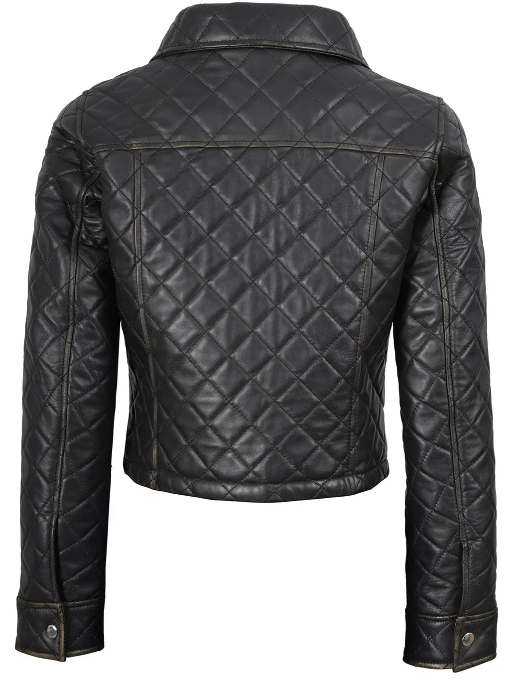 Mable Women's Dark Brown Cropped Shirt Collar Leather Jacket