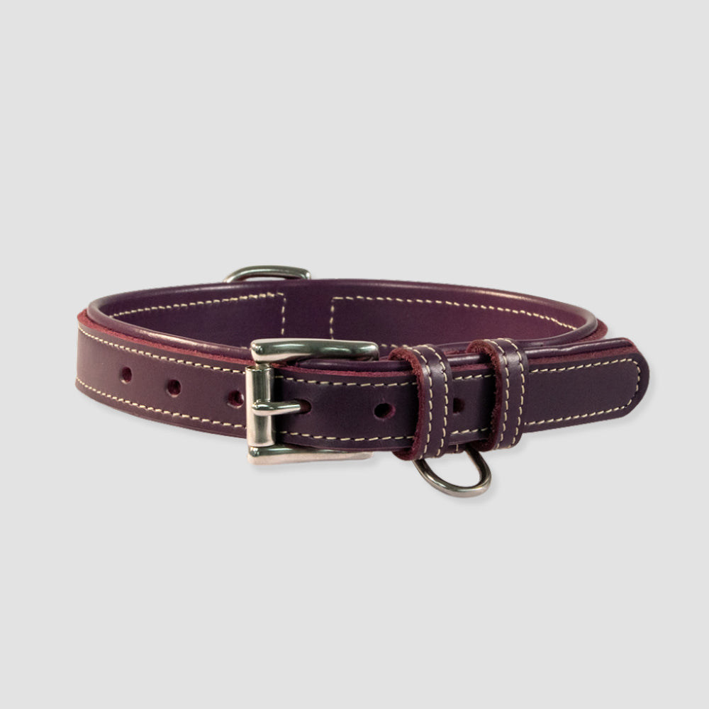 Rover Standard Collar