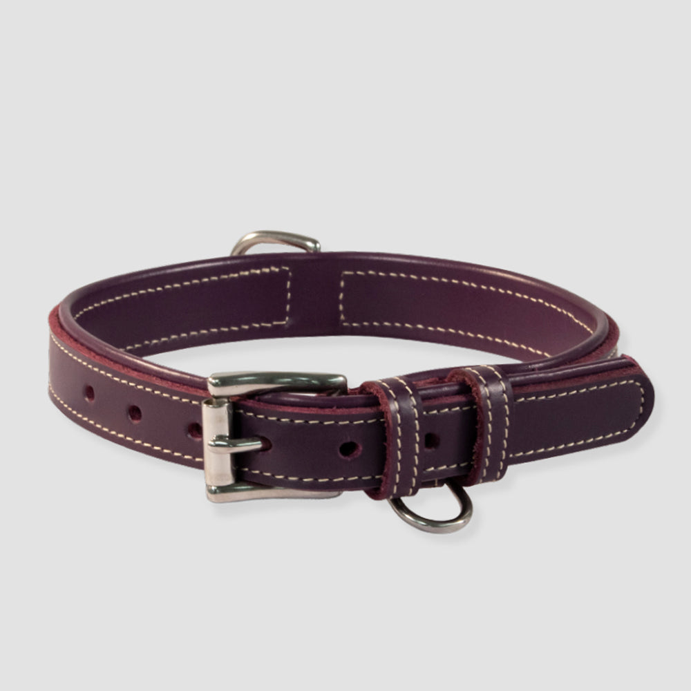 Rover Standard Collar