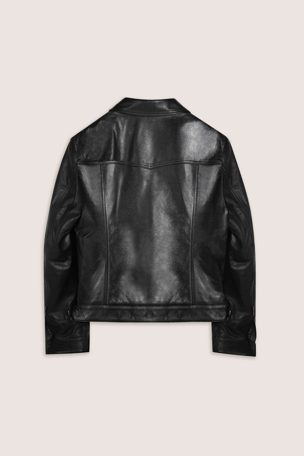 Leather Trucker Jacket