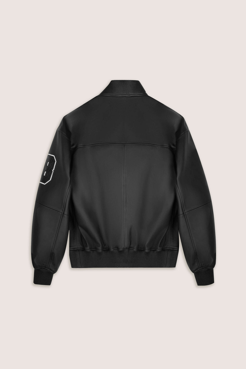 Refined Bomber Leather Jacket (Man)