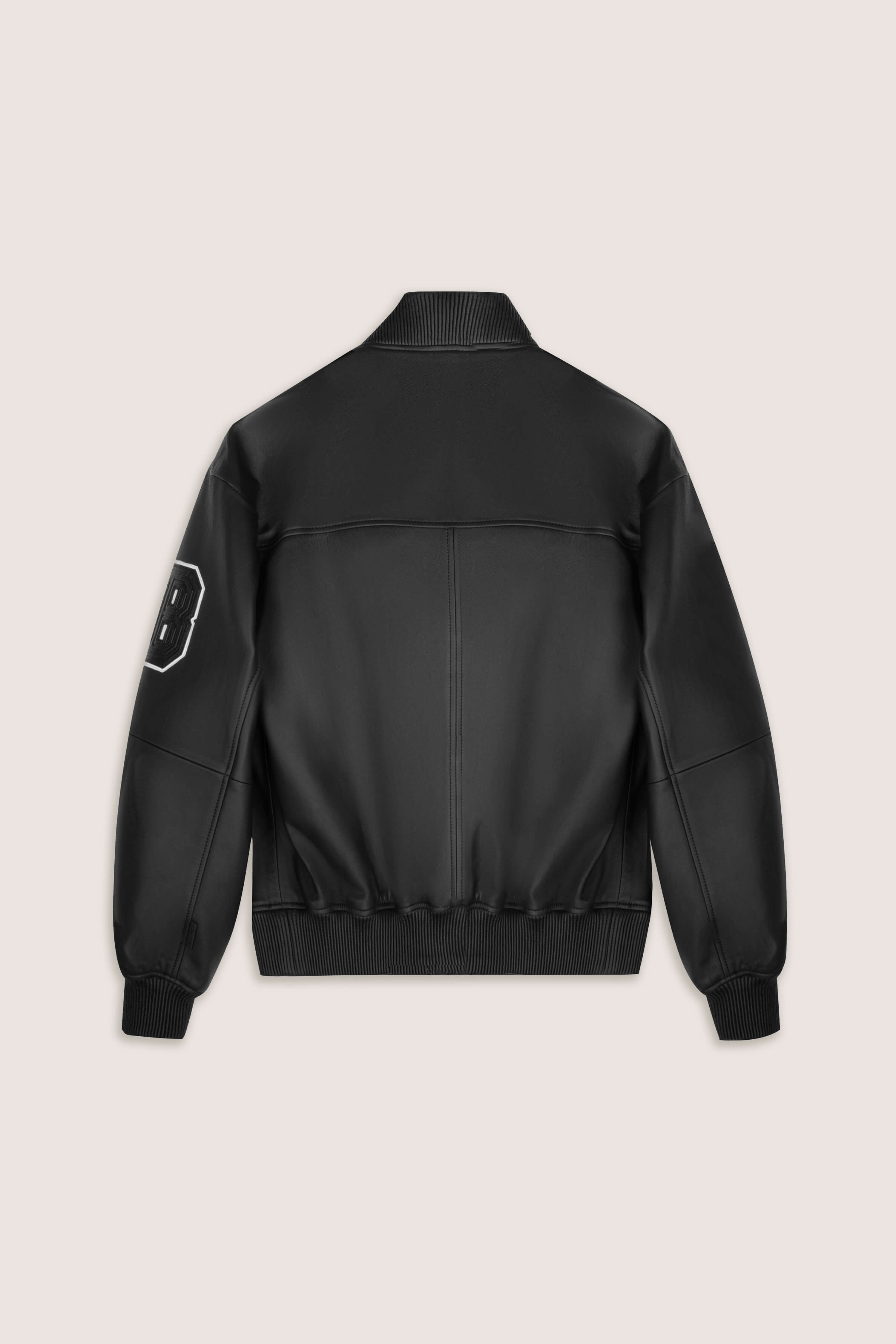 Refined Bomber Leather Jacket (Man)