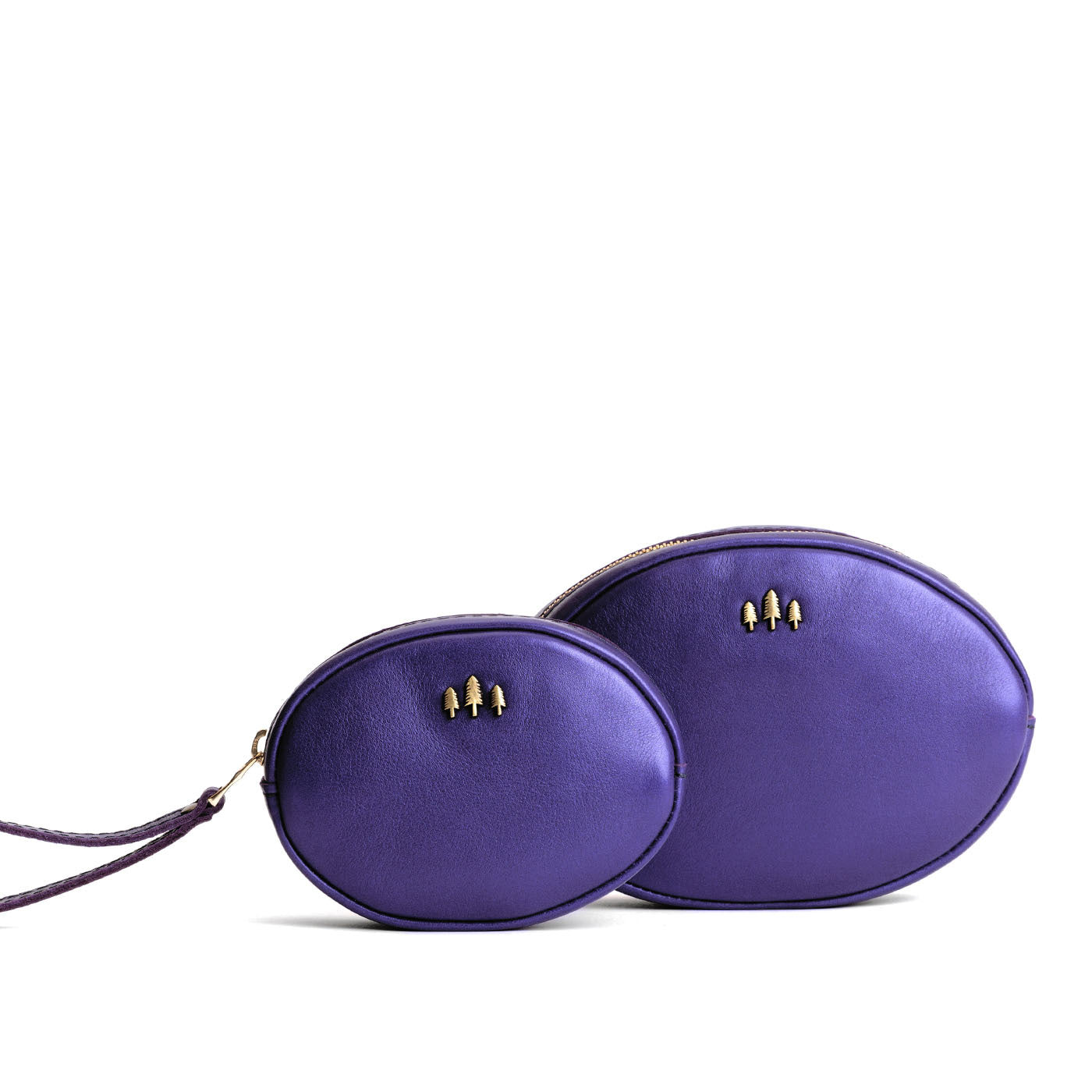 'Almost Perfect' Roswell Pouch