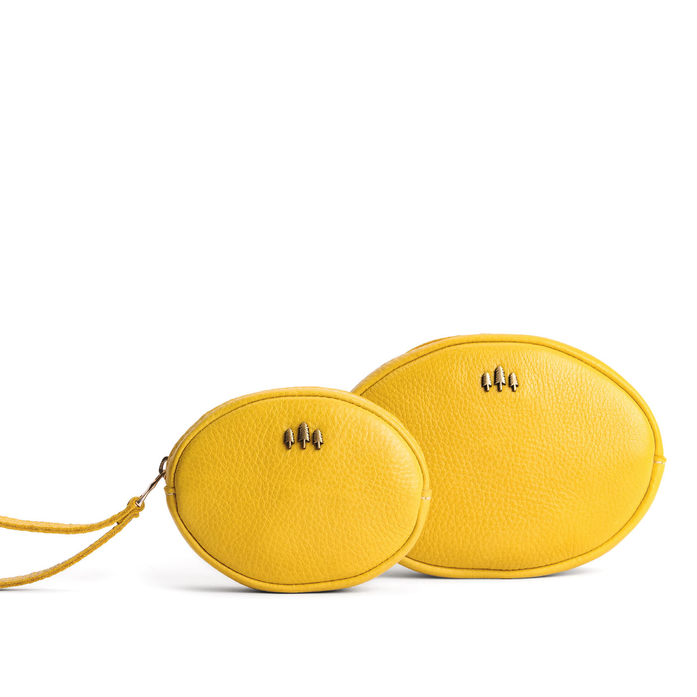 'Almost Perfect' Roswell Pouch