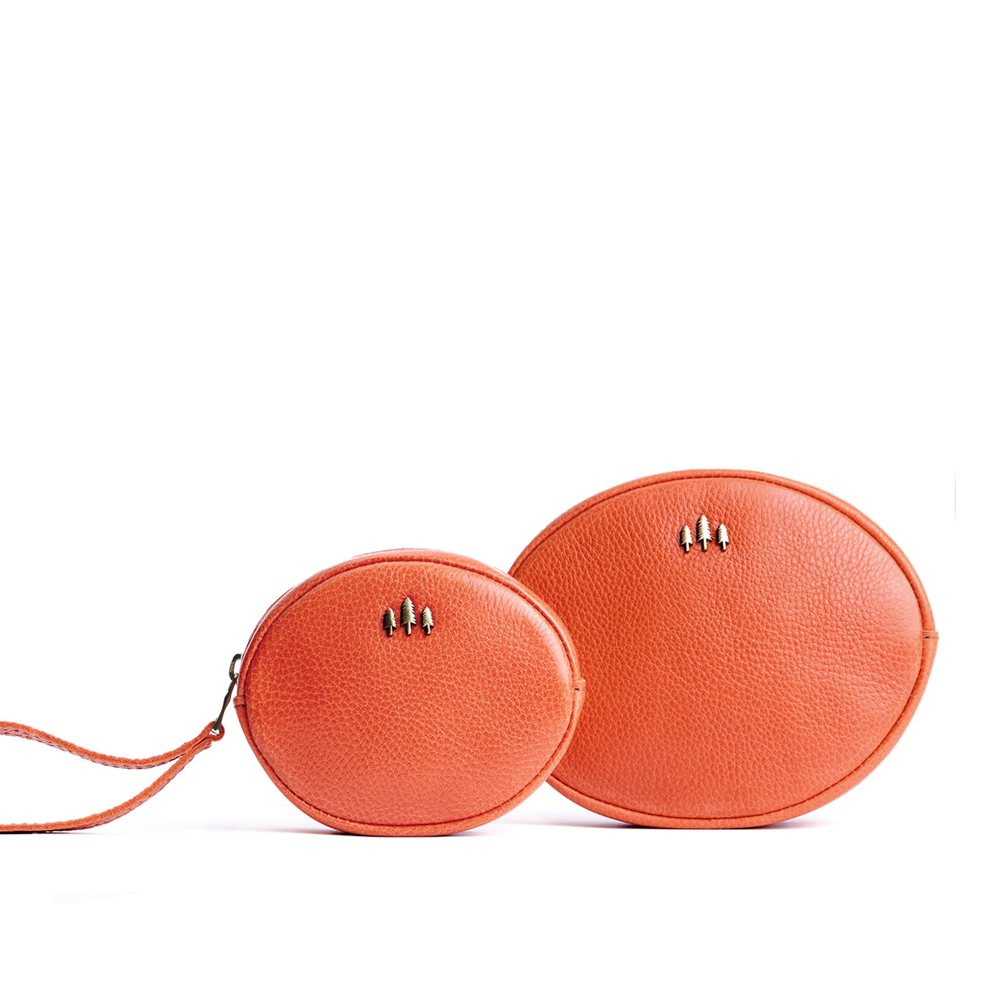 'Almost Perfect' Roswell Pouch