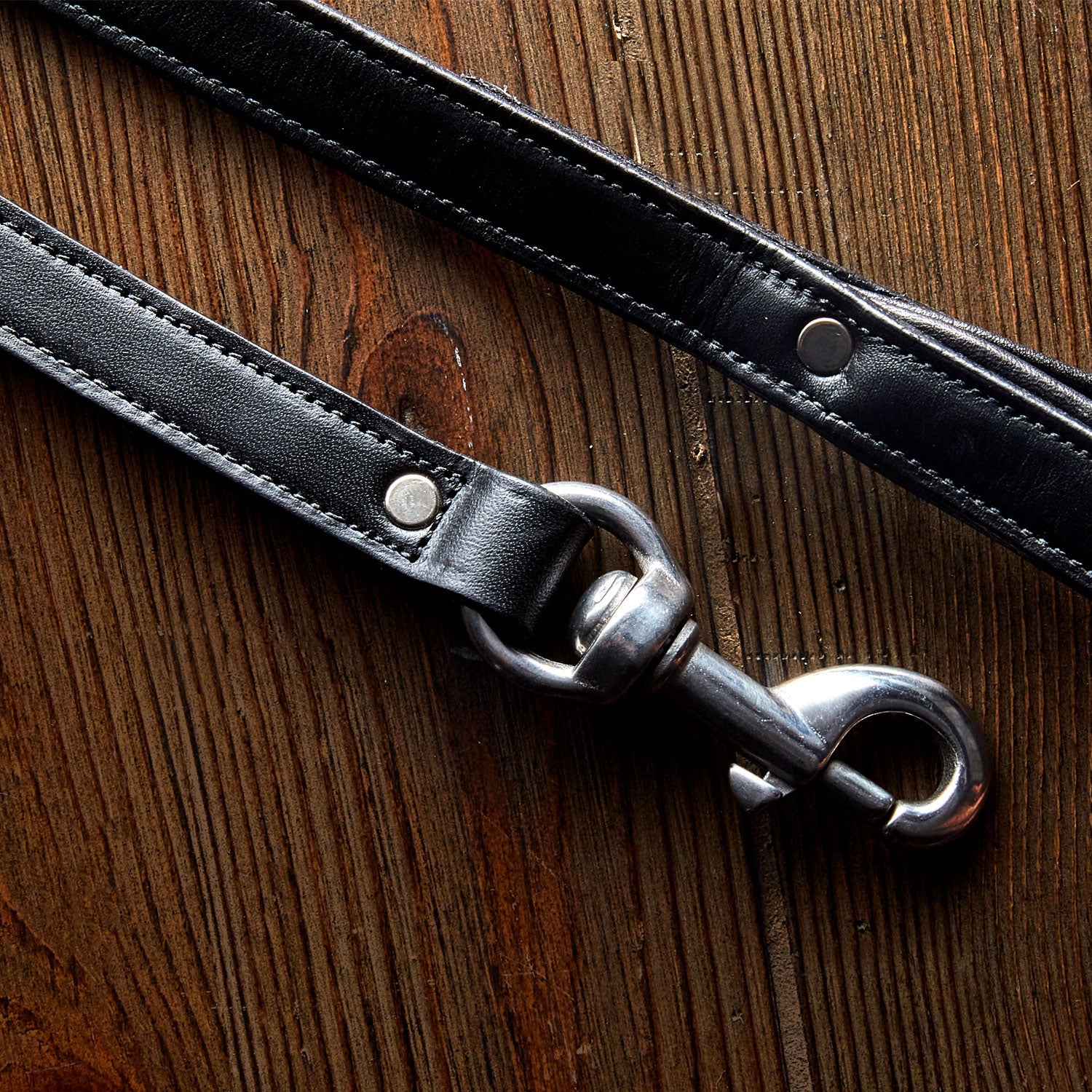 Rover Standard Leash