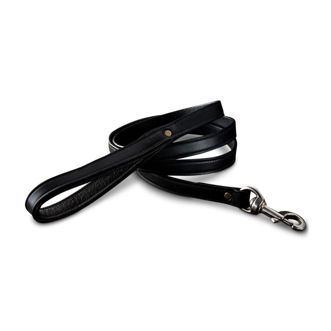 Rover Standard Leash