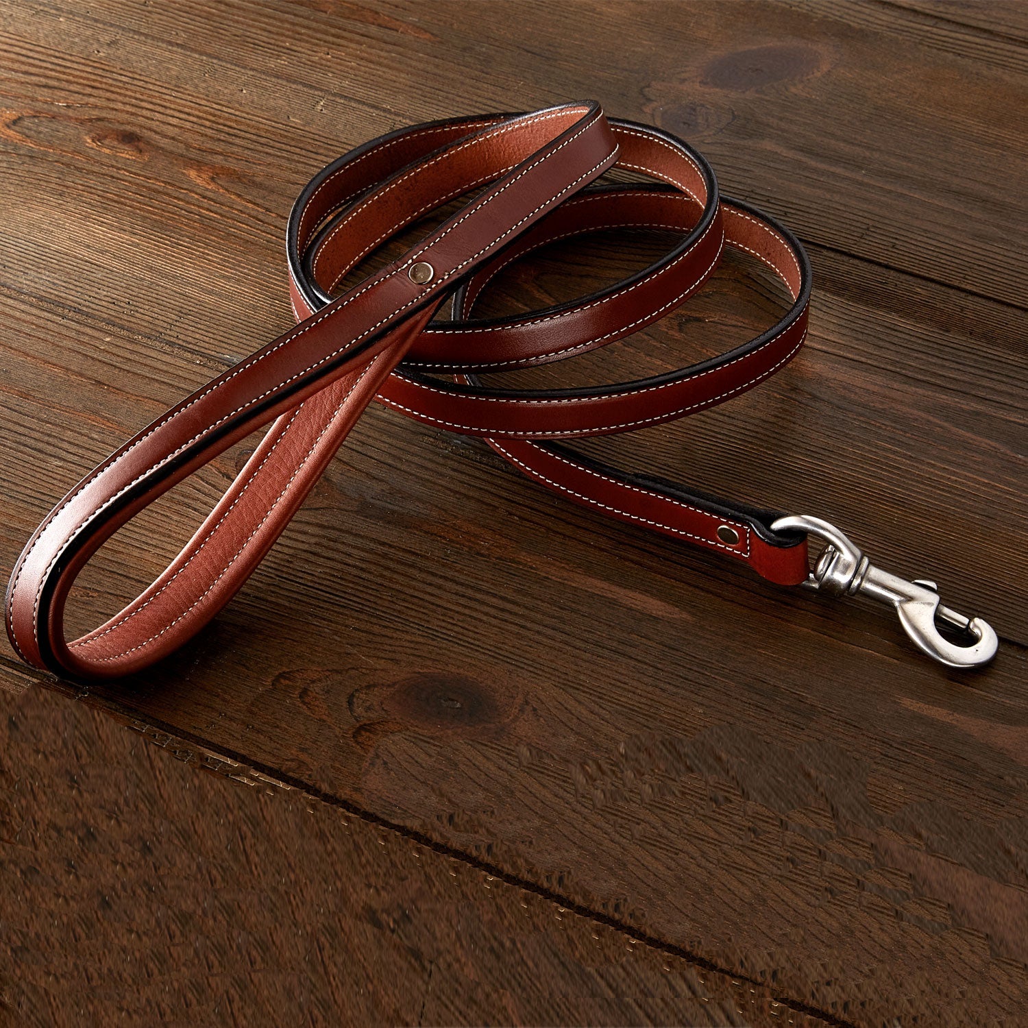 Rover Standard Leash