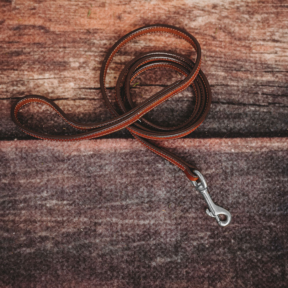 Rover Standard Leash