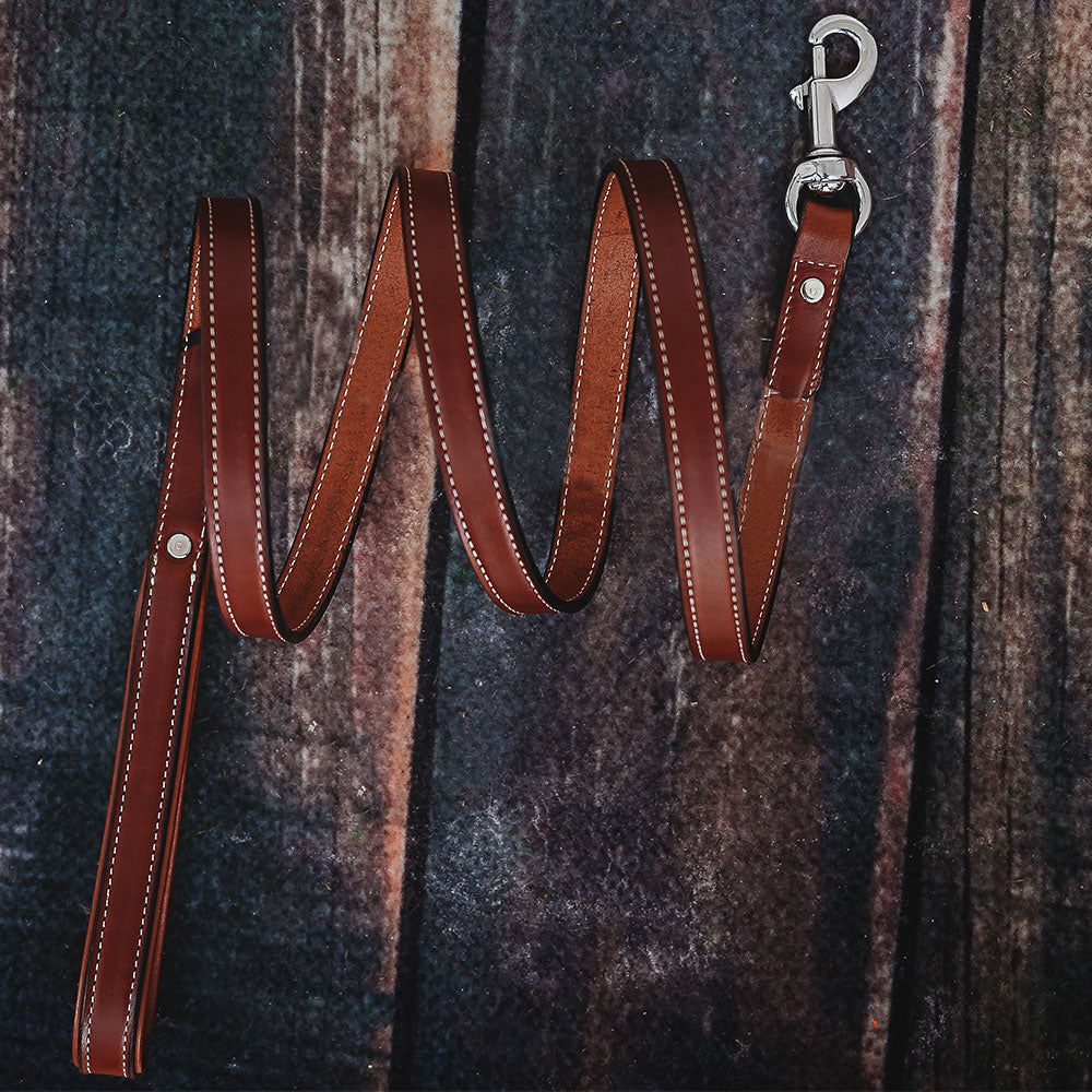 Rover Standard Leash